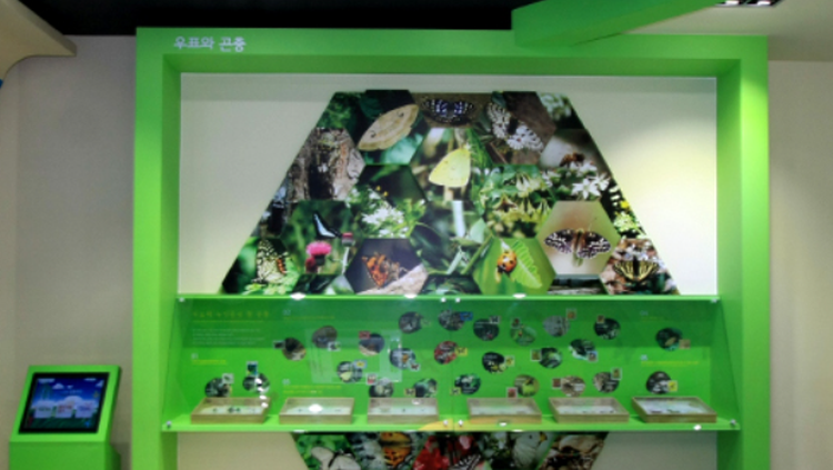 양평 곤충박물관