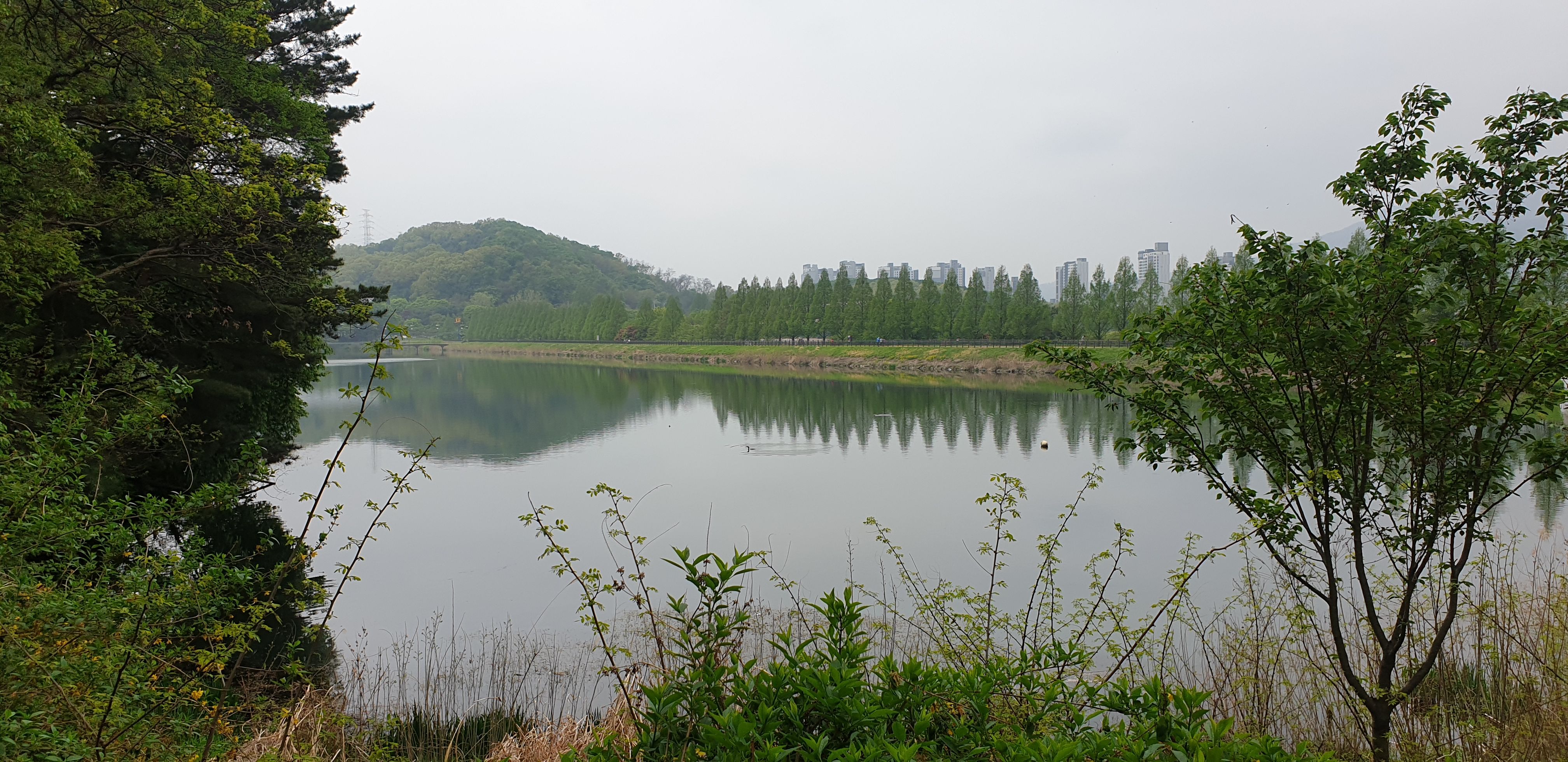 서울대공원 호수 산책로