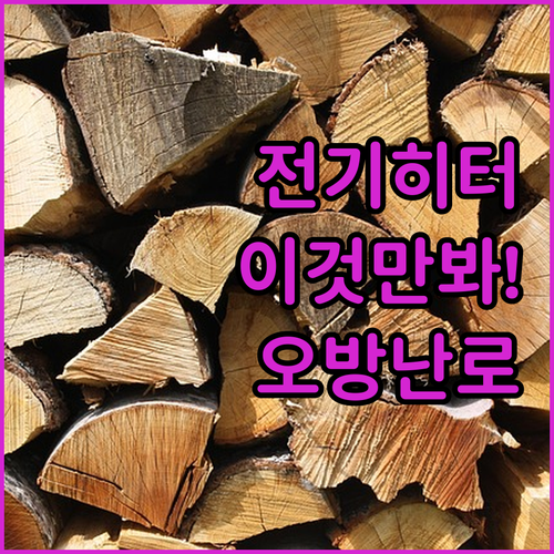 겨울 하이라이트 전기 히터 5종 비교..