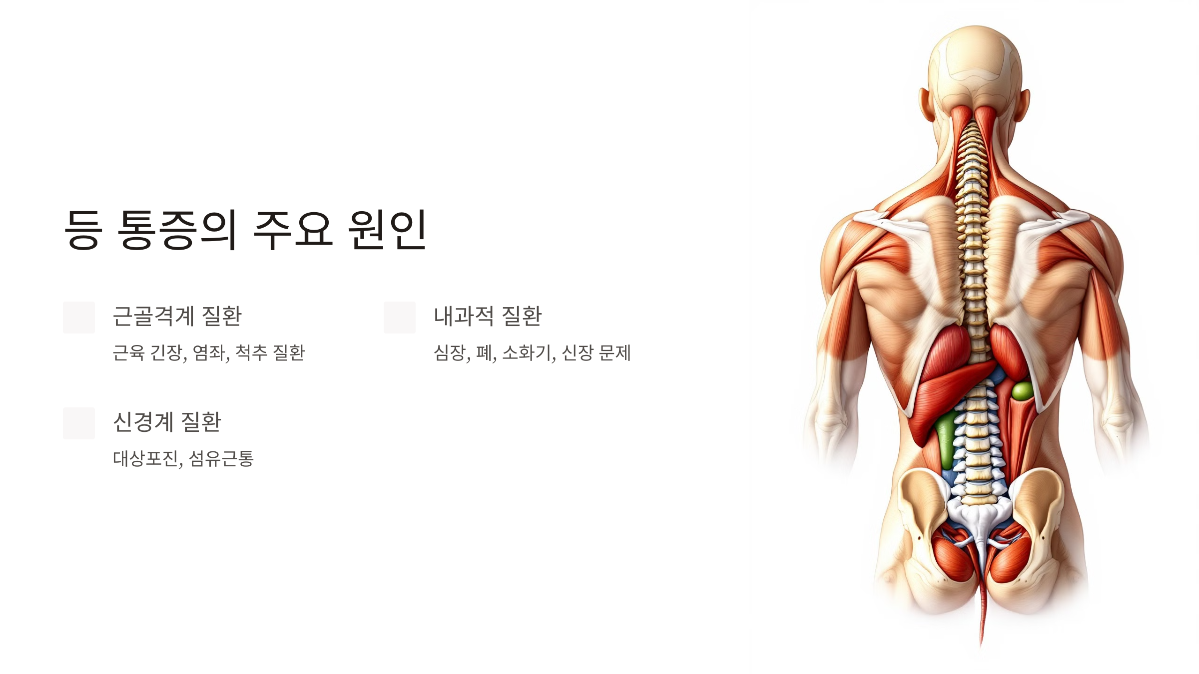 등 통증이 의심되는병