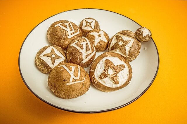 글로벌 패션 팝업스토어 성공 사례: 한정판, 혁신, 그리고 디지털 마케팅