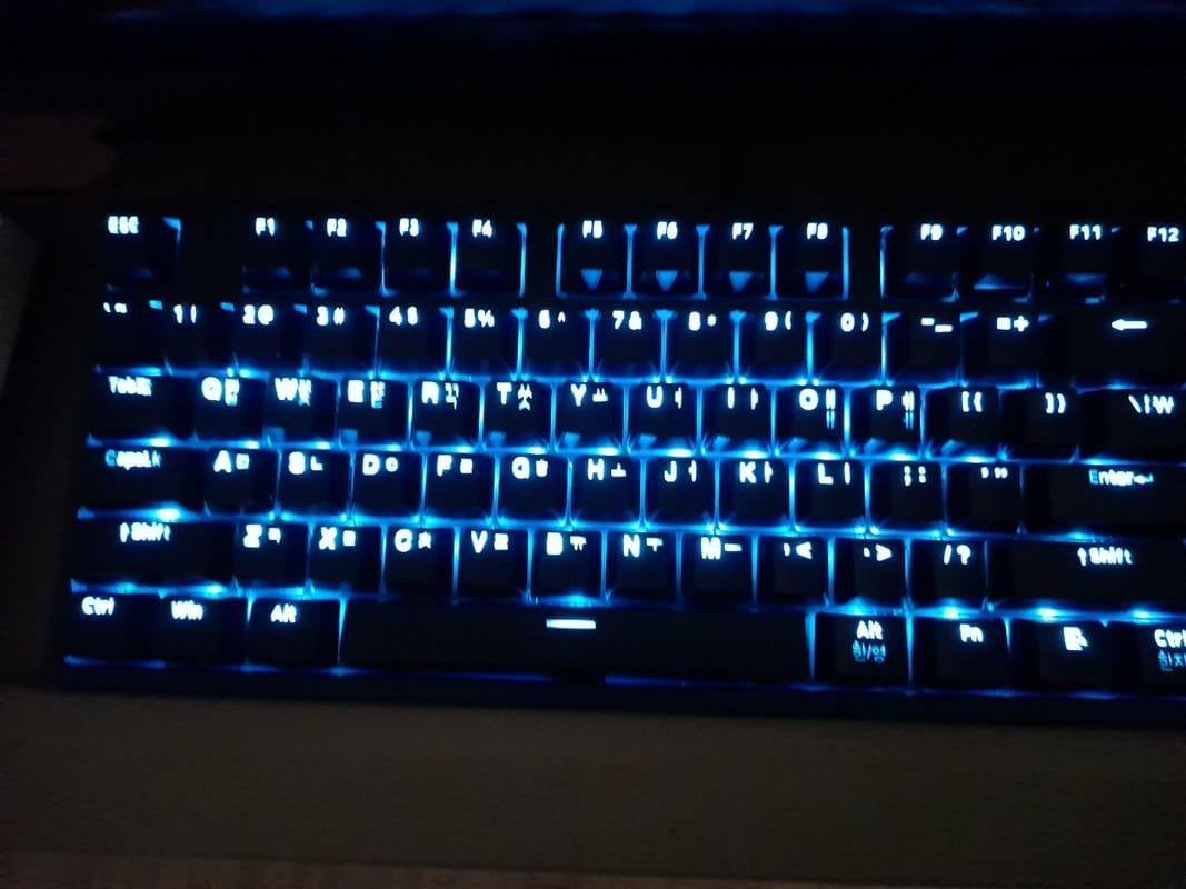 가성비 텐키리스 키보드 콕스 CK87 사용기