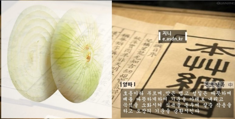 양파의 효능 8가지와 부작용 총정리...음식건강이야기 열두번째
