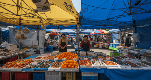 전통시장 추천 코스 2025, 여행처럼 즐기는 전국 시장 투어 - 제주시장