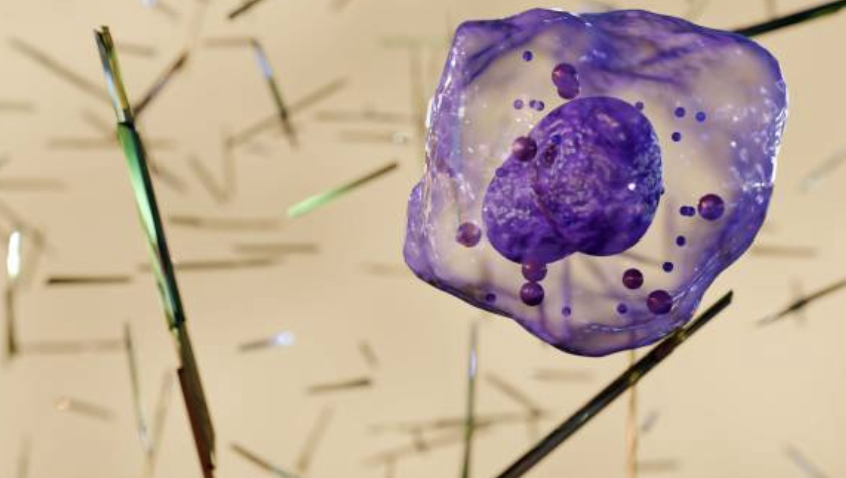 Single-cell proteomics 미래