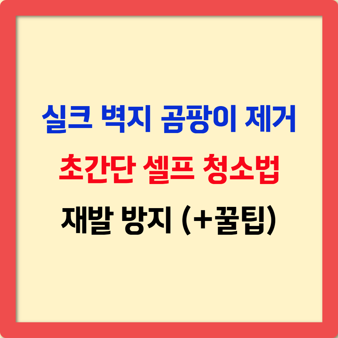 실크 벽지 곰팡이 제거 완벽 가이드! 초간단 셀프 청소법 &amp; 재발 방지 꿀팁