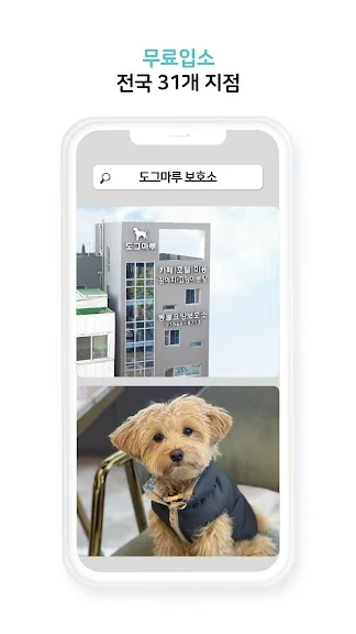 유기묘 새끼 고양이 무료 분양 어플 앱-18 유기묘 새끼 고양이 무료 분양 어플 앱-18