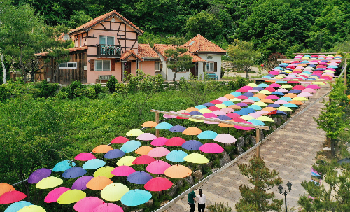 포천허브아일랜드핑크뮬리축제