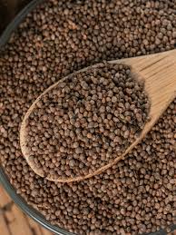 들깨 파종 시기, 이대로만 하면 풍성한 수확!