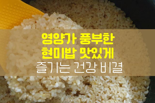 영양가-풍부한-현미밥-맛있게-즐기는-건강-비결-포스팅-썸네일
