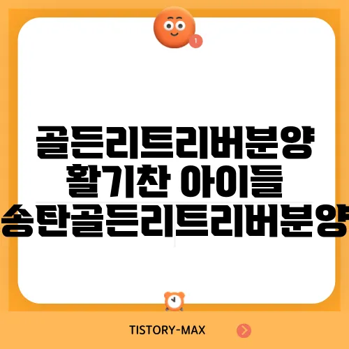 골든리트리버분양 활기찬 아이들 송탄골든리트리버분양