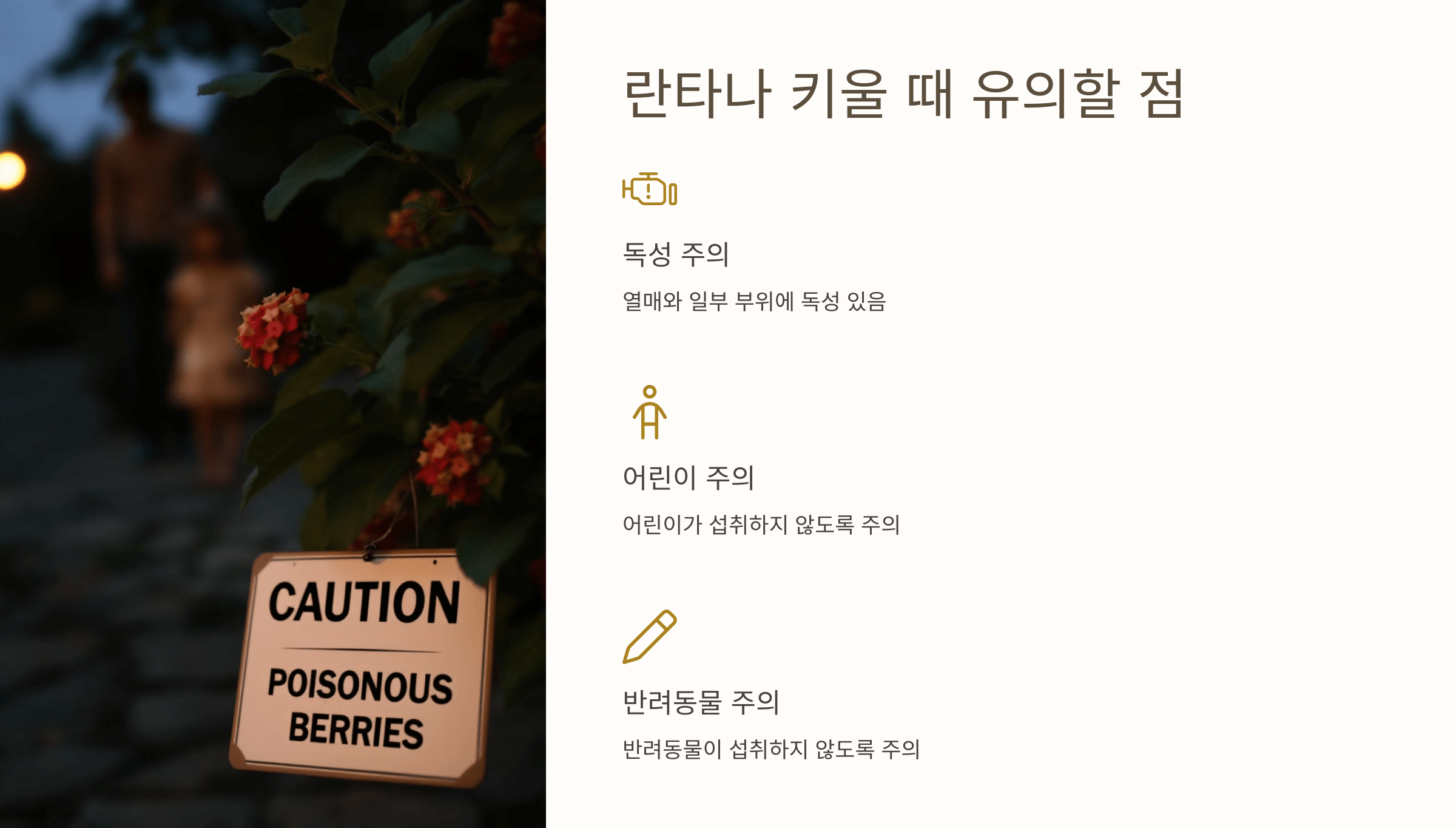 란타나와 관련된 사진입니다.