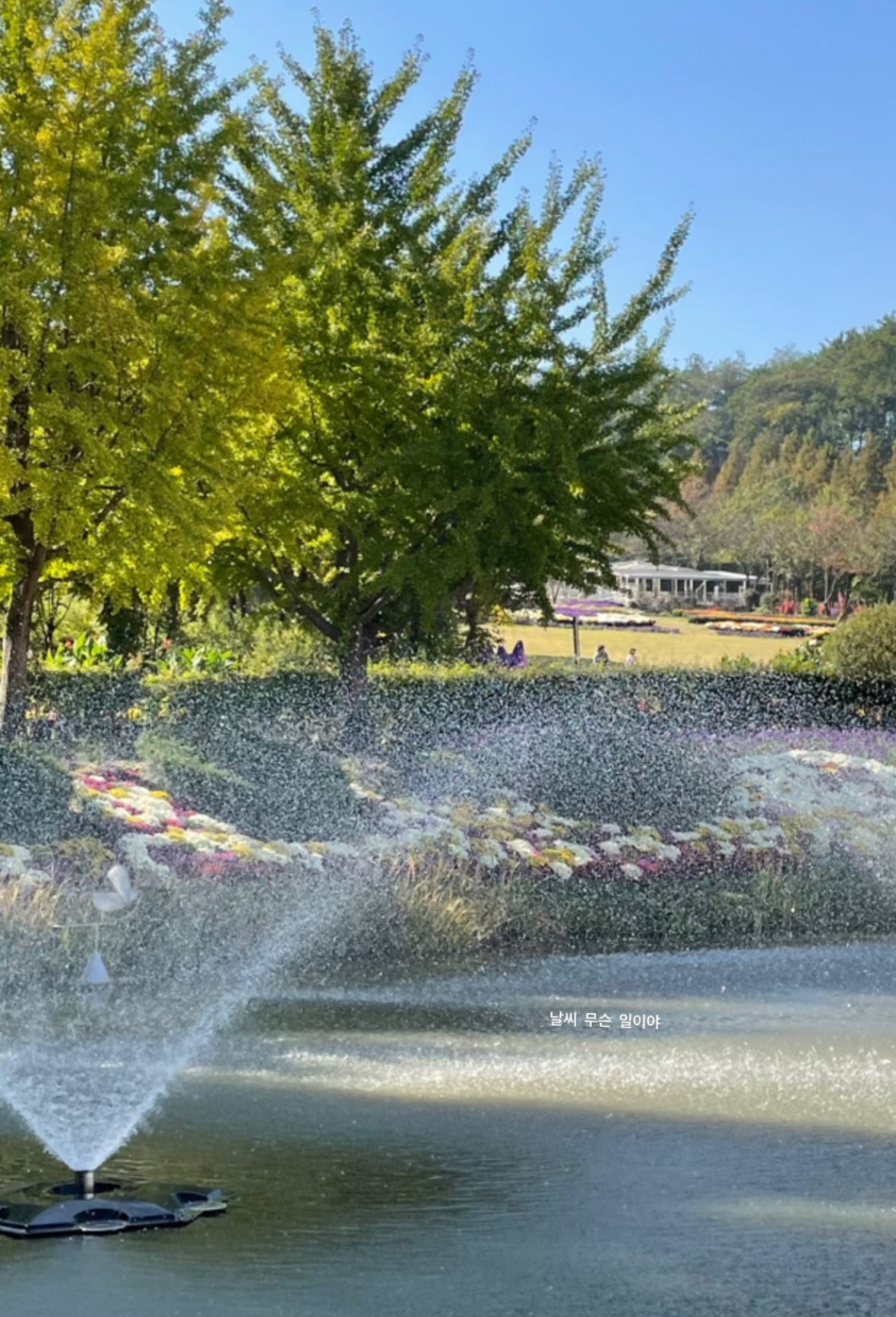 살랑사랑 바람 + 고요함 = 행복