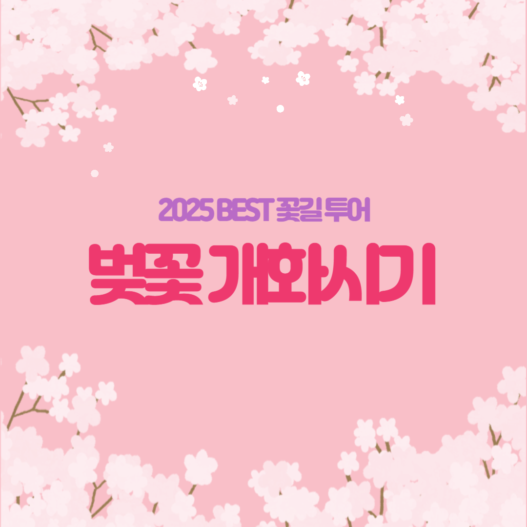벚꽃 개화시기 2025 BEST 꽃길 투어