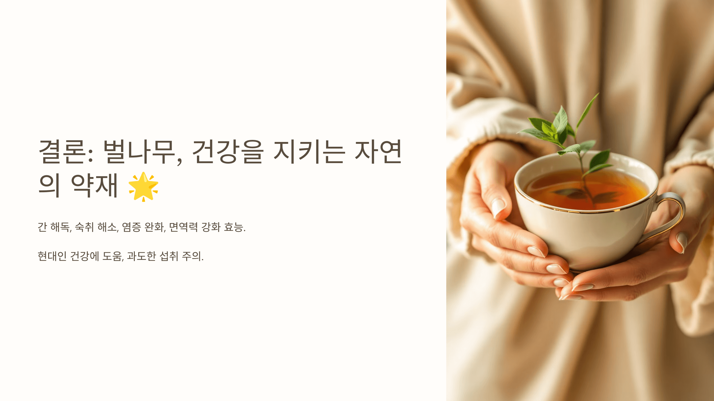 벌나무와 관련된 사진입니다.