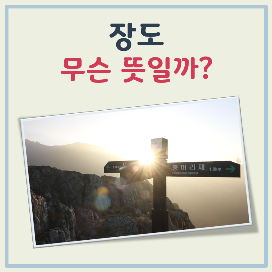 장도 뜻 대표 이미지