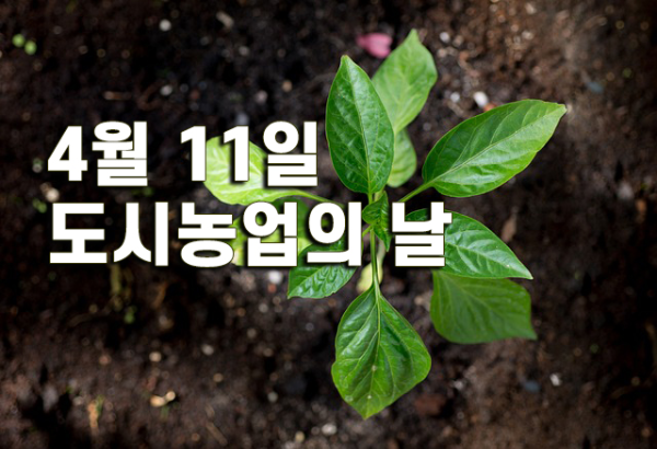 4월11일 도시농업의 날