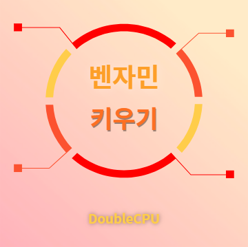 벤자민 키우기