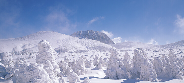 한라산 등반코스 탐방예약