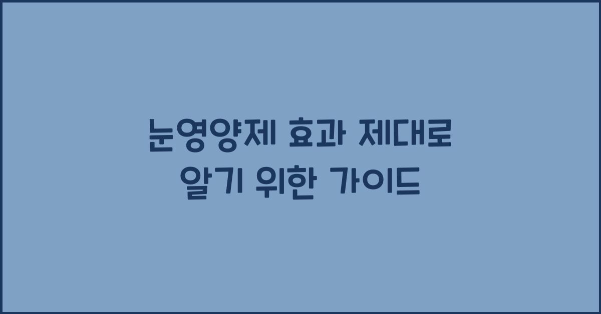 눈영양제
