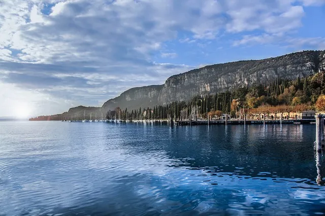 사회복지사 1급 총정리