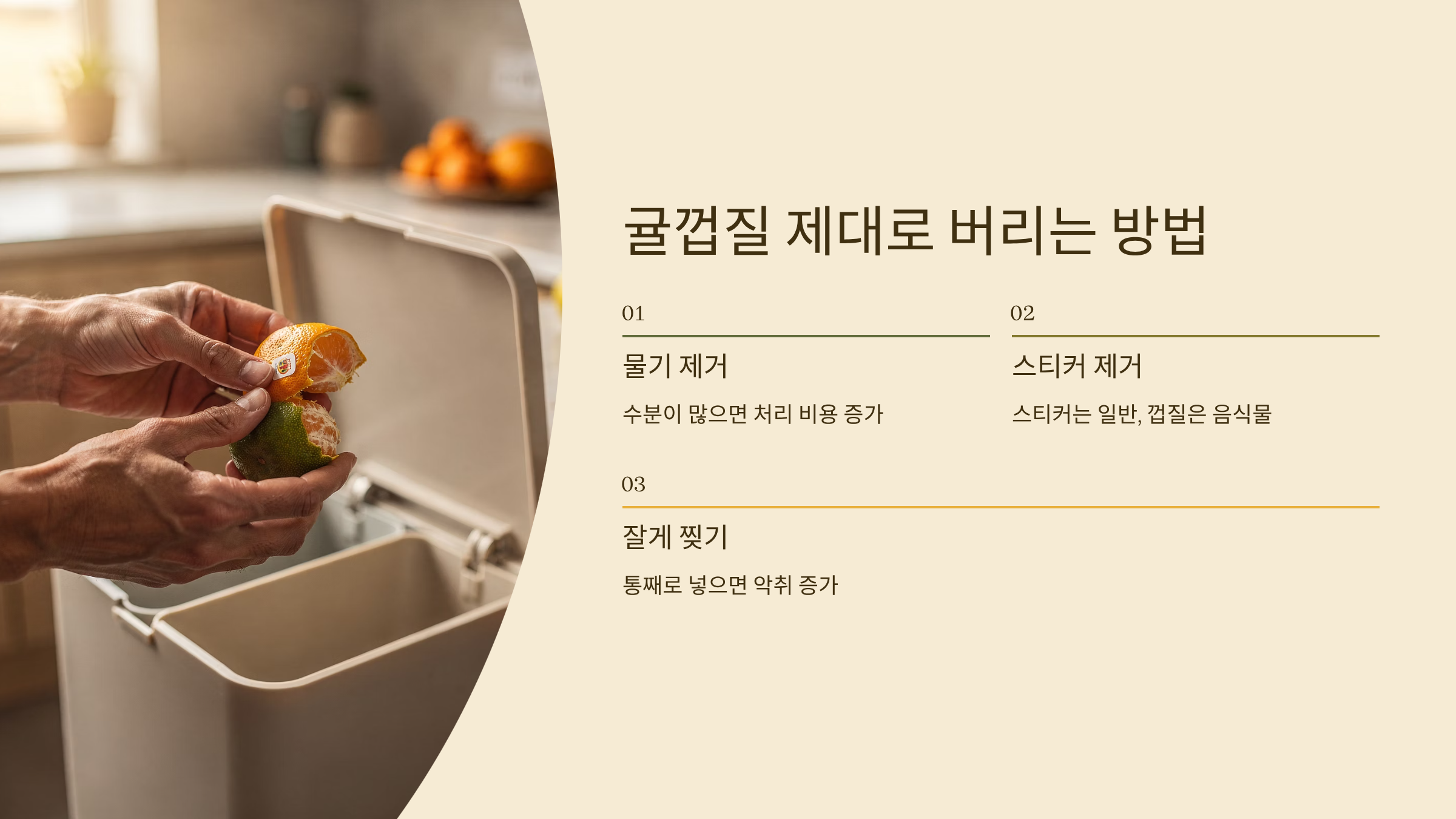 귤껍질 제대로 버리는 방법