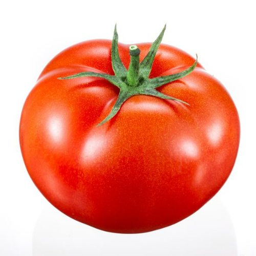 토마토와 리코펜 칼슘 재흡수