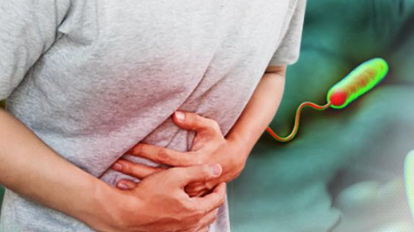 콜레라균 진단검사 가이드: 배양부터 PCR까지