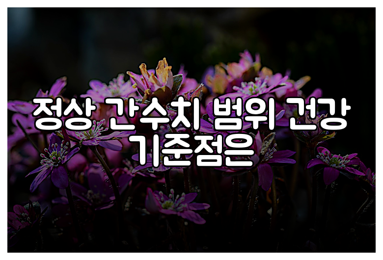 정상 간수치 범위 건강 기준점은
