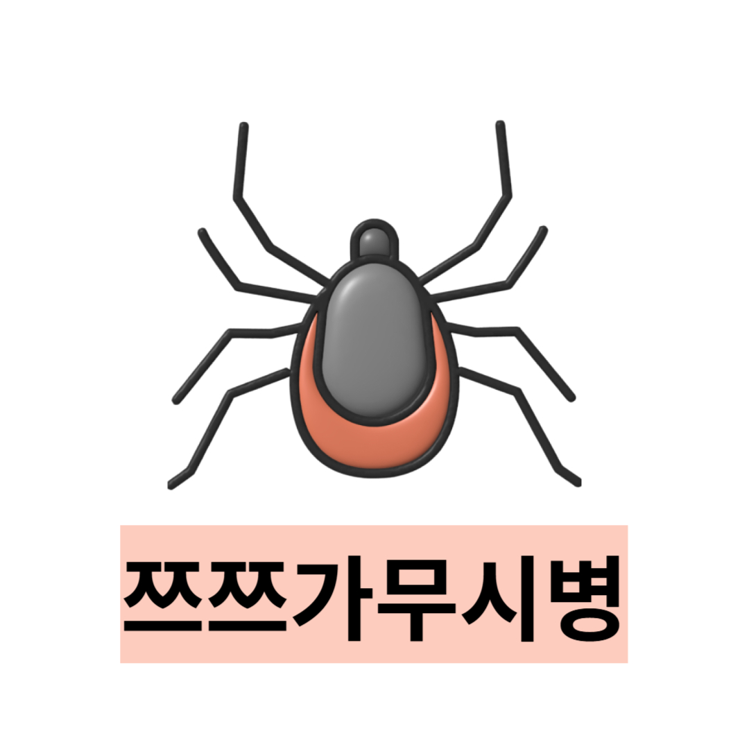 쯔쯔가무시와 관련된 사진입니다.