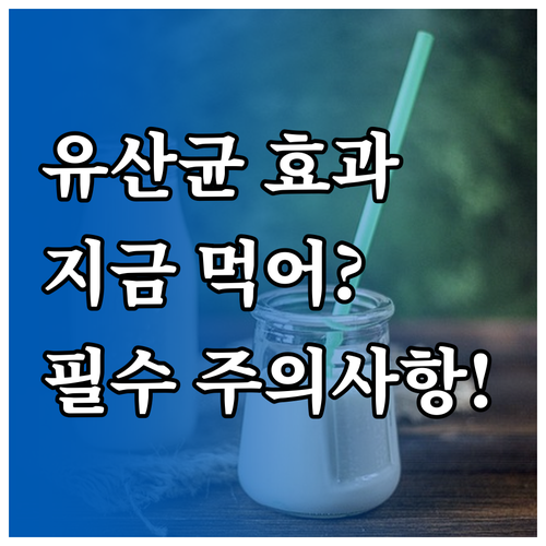 유산균 음식 효과와 올바른 섭취 시기..