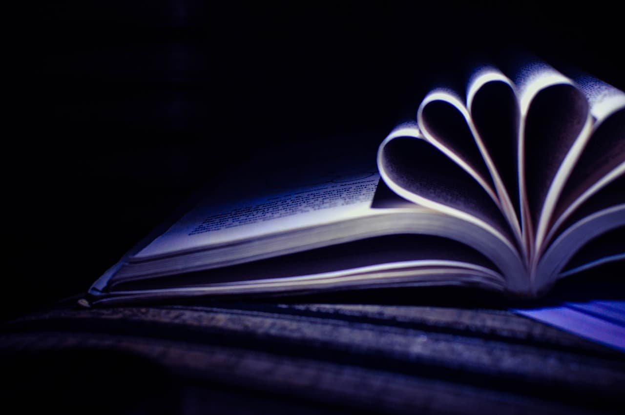 배당주 투자 전략: 안정적인 수익을 위한 포트폴리오 구성