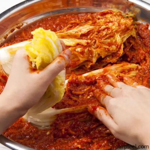 괴산절임배추20kg