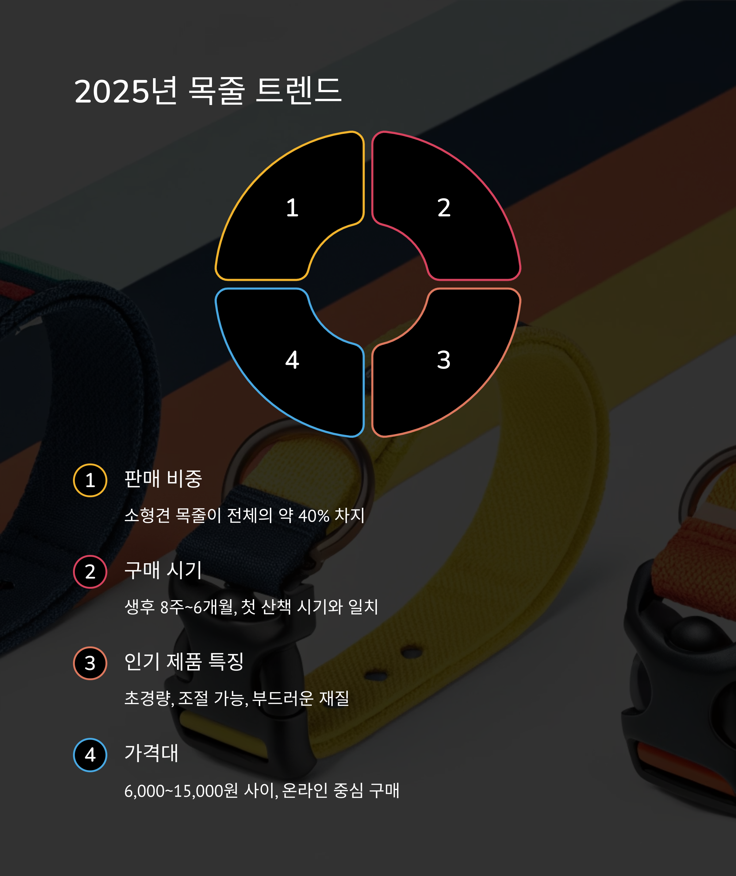 2025년 목줄 트렌드