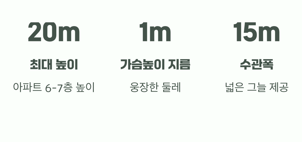 교과서적인 답변&amp;#44; 성목의 크기