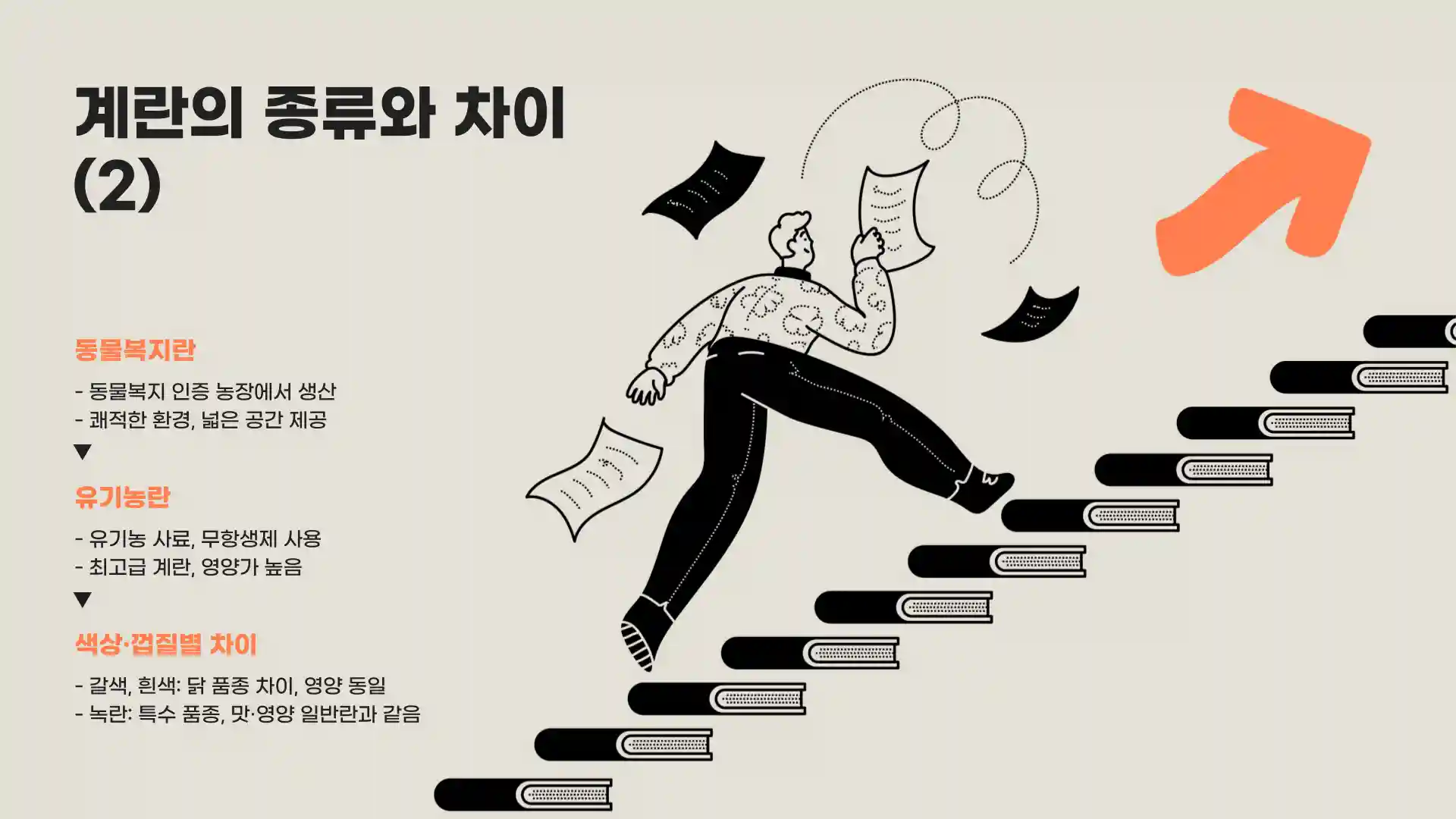 계란 크기 순서 종류 보관법