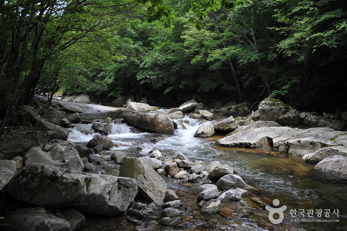 무주 가볼만한곳 베스트10