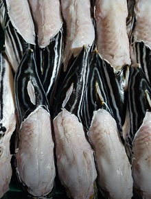 까치복