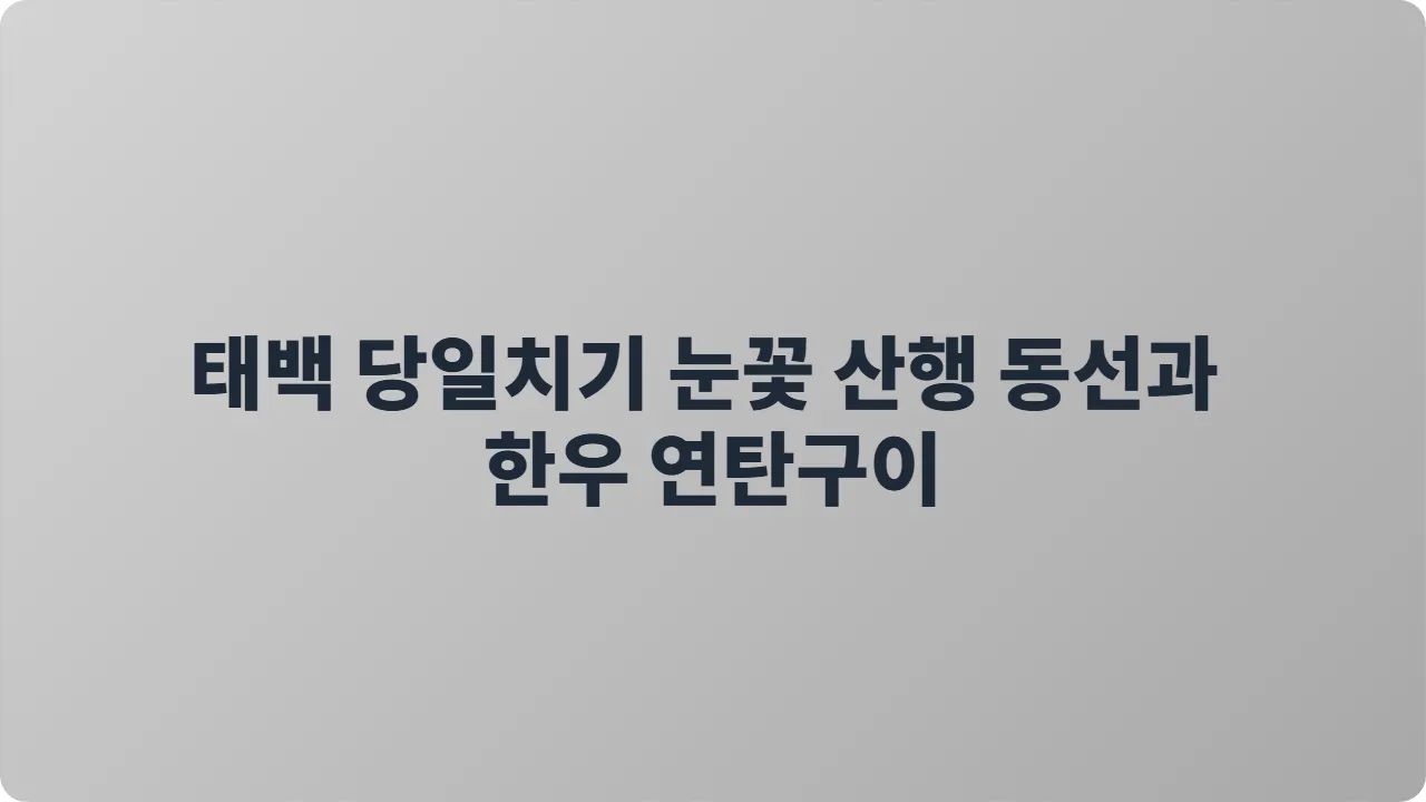 태백 당일치기 눈꽃 산행 동선과 한우 연탄구이