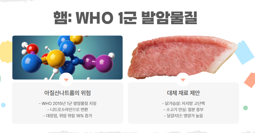 햄: WHO 1군 발암물질