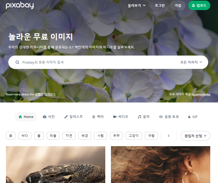 무료-이미지-사이트