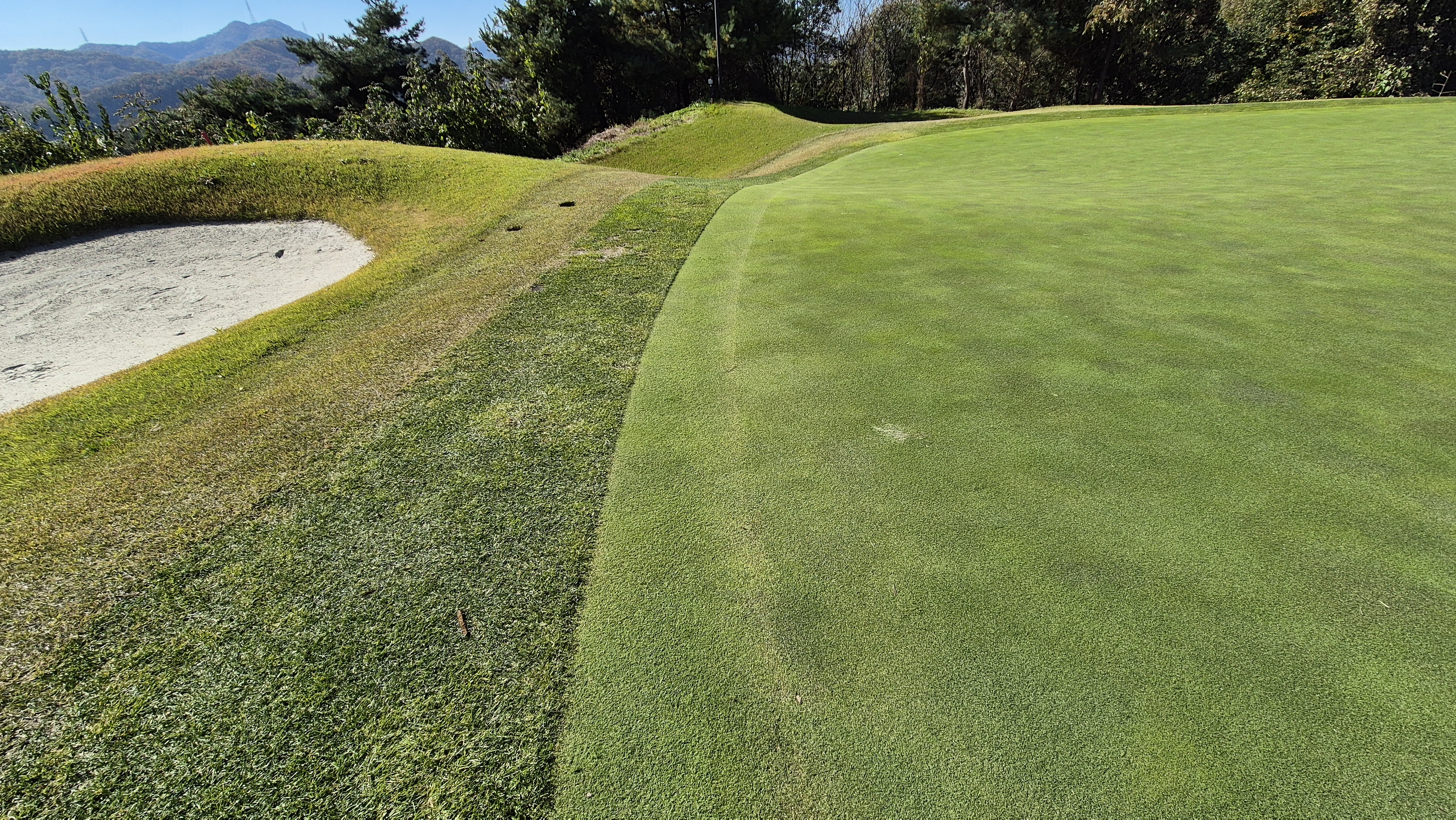 동촌gc 그린빠르기 및 난이도