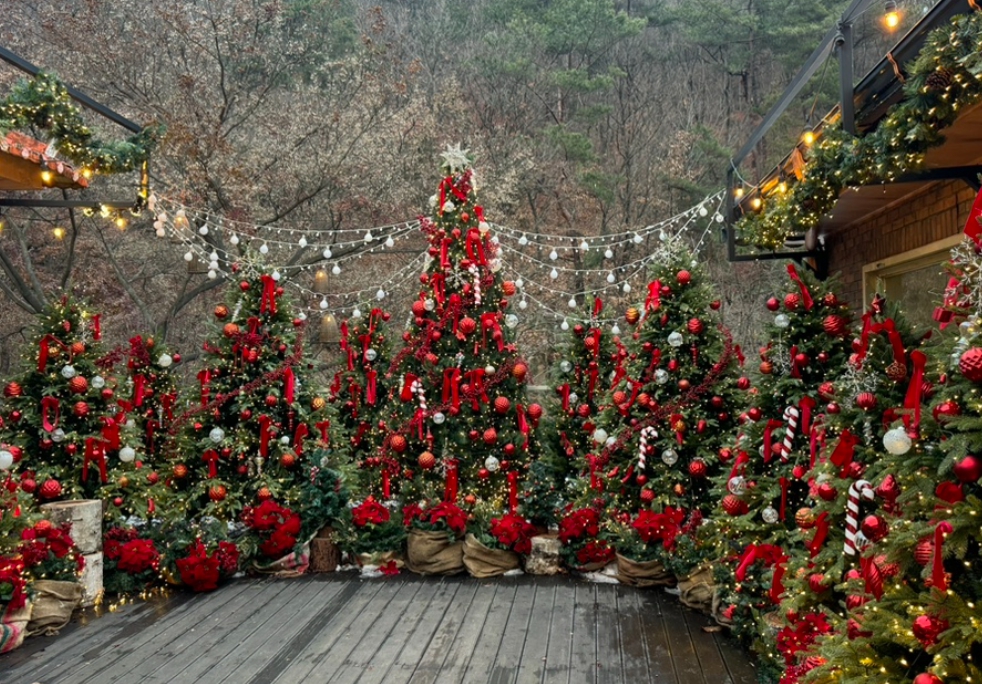 크리스마스/분위기/핫플/카페