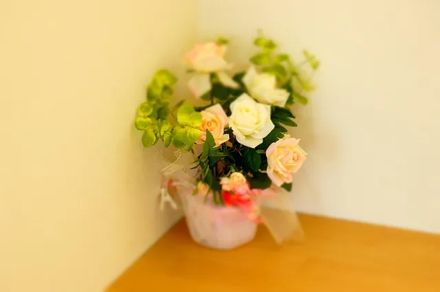 어레인지 뜻과 어레인지먼트 어렌지 arrange 차이_1