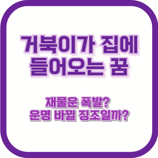 거북이가 집에 들어오는 꿈, 재물운 폭발? 운명 바뀔 징조일까?