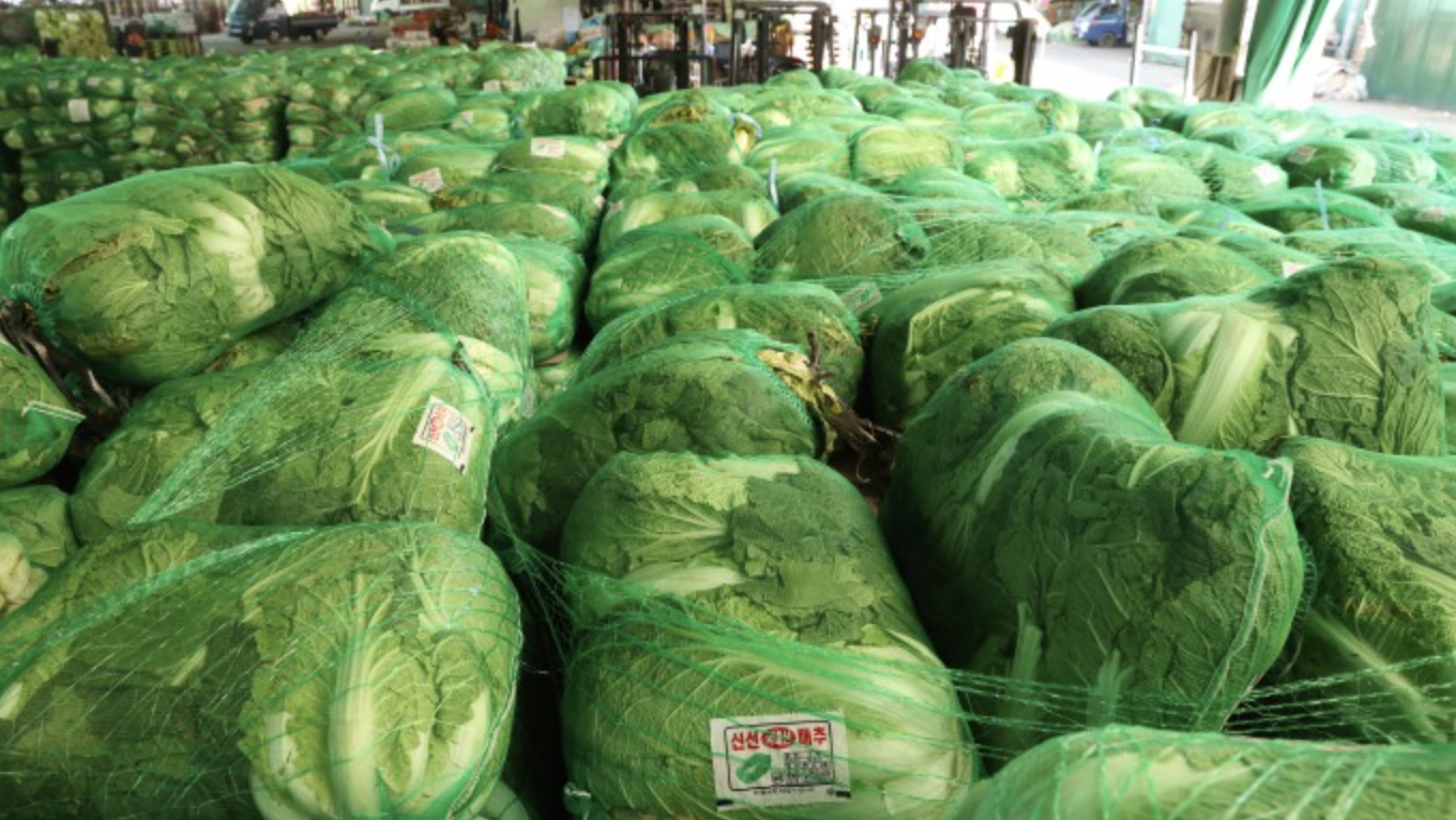 배추 가격 안정을 위한 전량 방출 전략