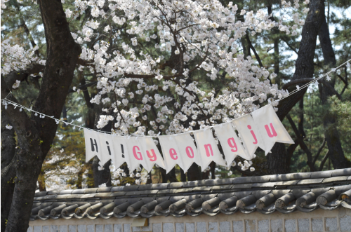 경주 대릉원돌담길 벚꽃축제