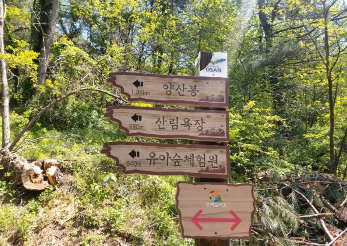 독산성산림욕장