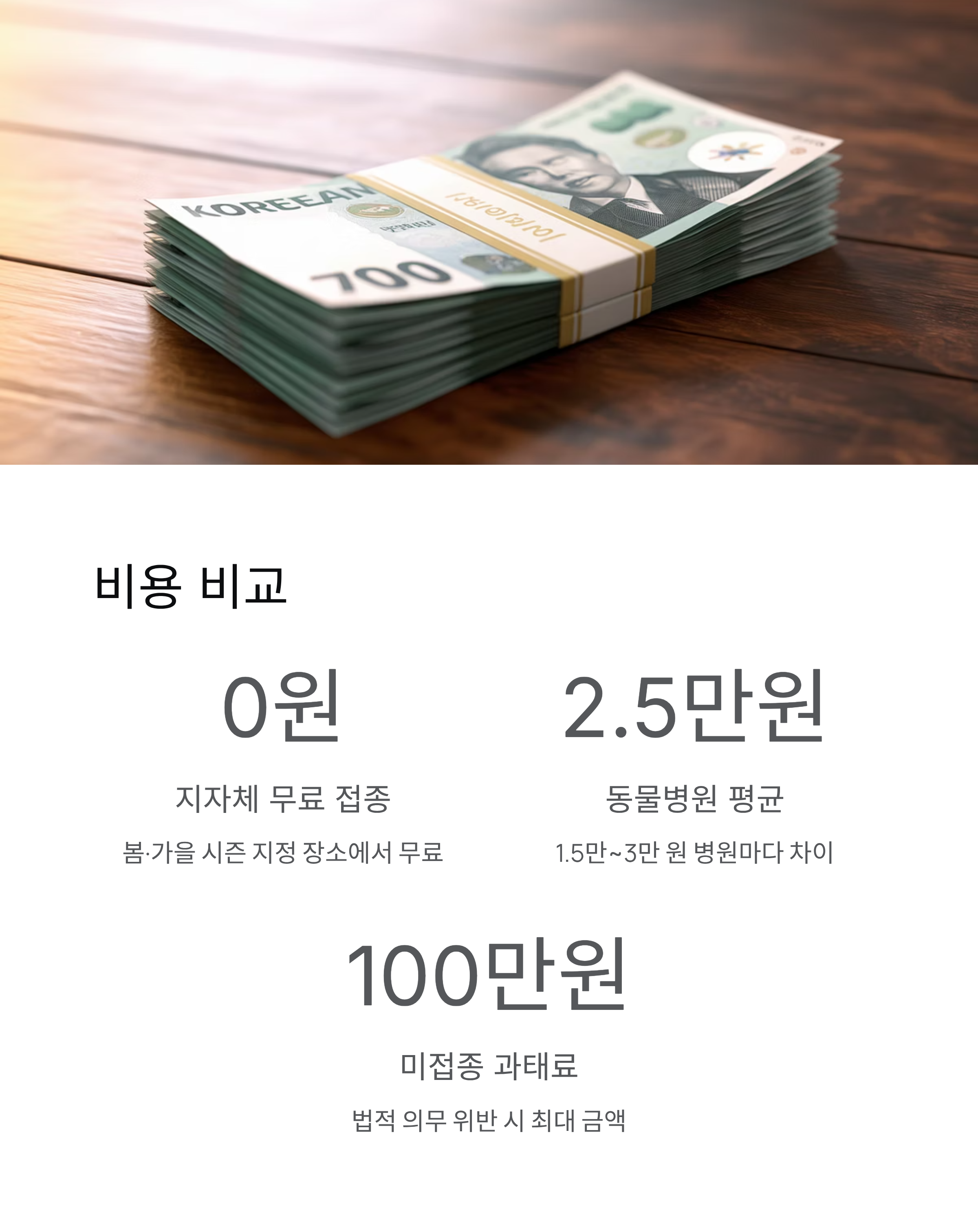 광견병 예방접종 무료 2026일정 총정리! 반려견 무료 접종 신청 방법