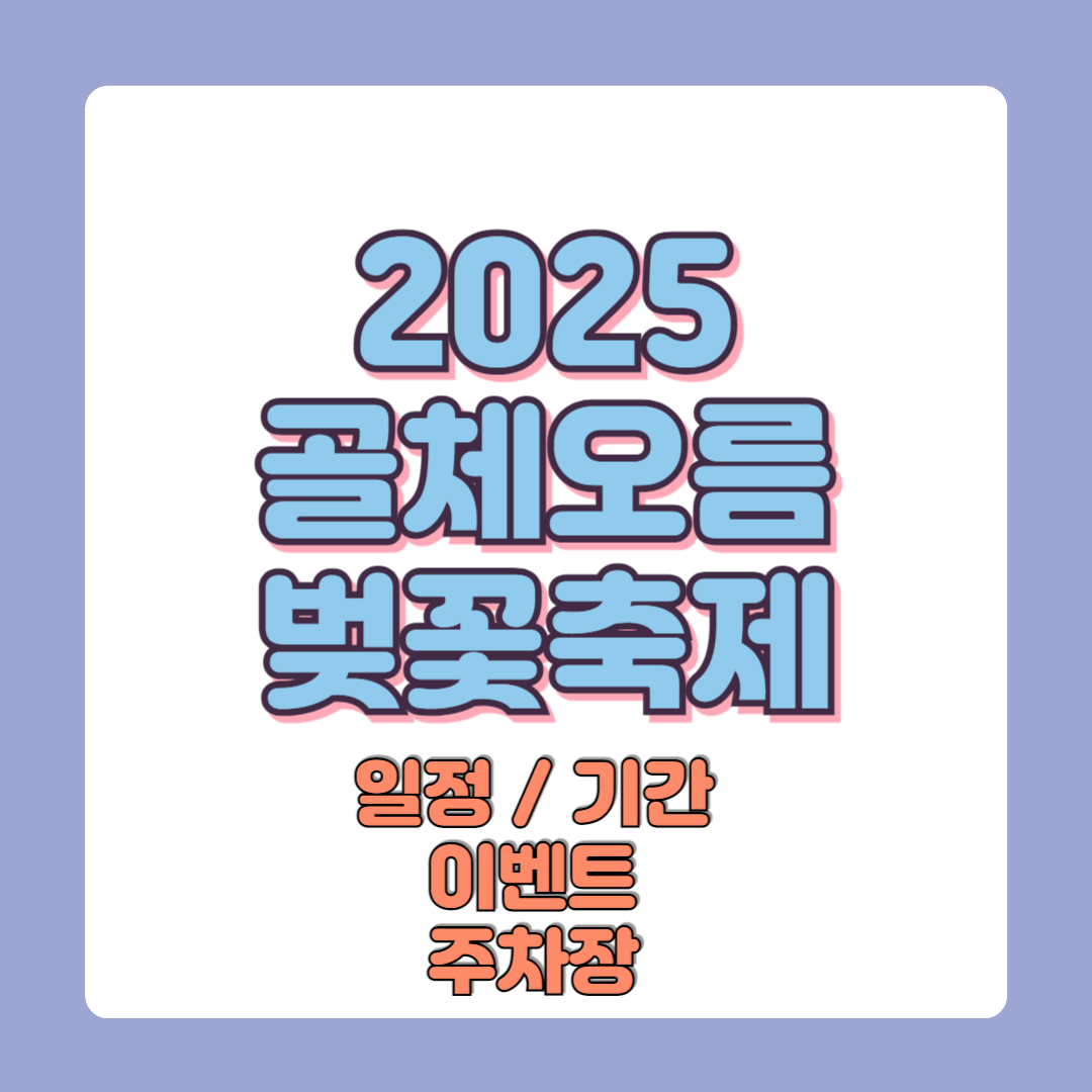 2025 제주도 골체오름 벚꽃축제 일정 기간 이벤트 주차장